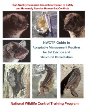 NWCTP Bat Guide